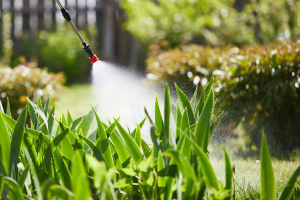 24/7 Emergency Ant Control experts in North Auburn, CA
