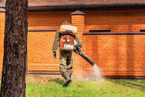 Trusted Mosquito Control service in North Auburn, CA - Nex Pest Control